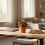 4inch_lifestyle
