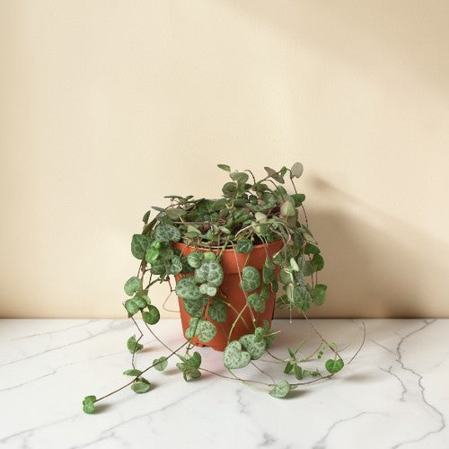 4inch_marble